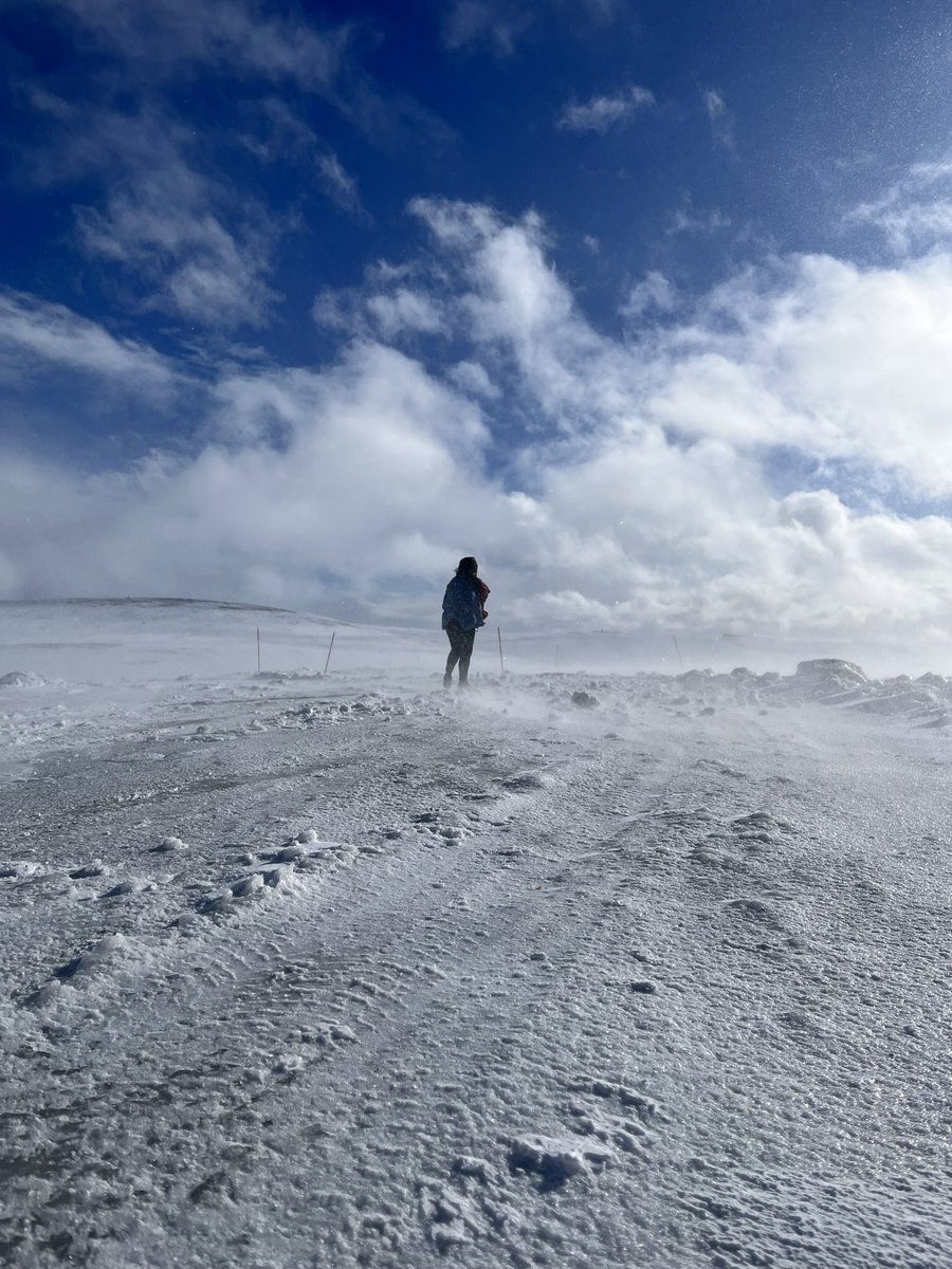 whisperingpoems's tweet image. #vss365 #wolves 

she learned to howl last.
after the breaking,
after the soft parts
stopped asking why.

silver breath on frozen air,
she writes his name
in vanishing ink
like fog over the hills.

now,
even the wolves listen
when she speaks.
🖤
#ωнιѕρєяѕ 

📸 #Mine