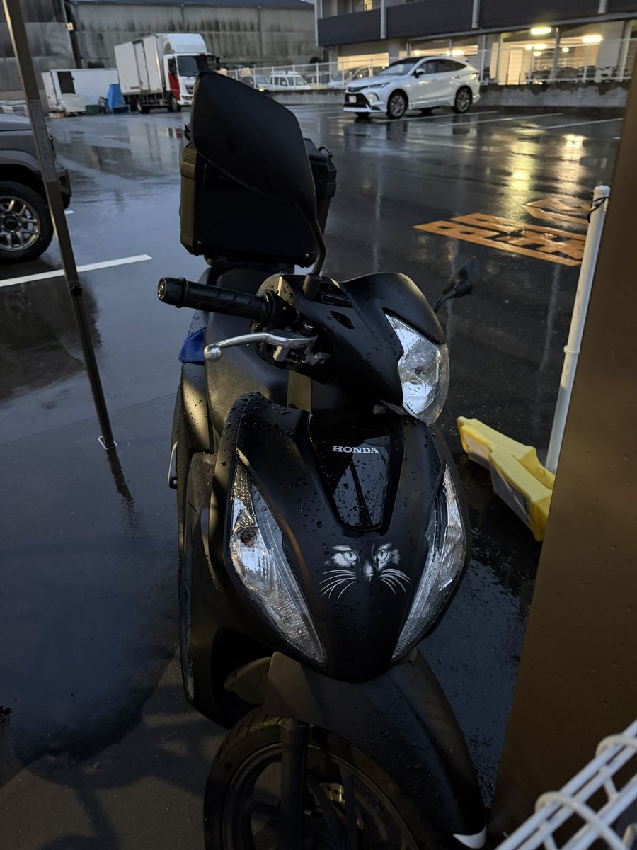 かや🐾🐮🔥SSTR2026 5月30日出走よろしくお願いします tweet media