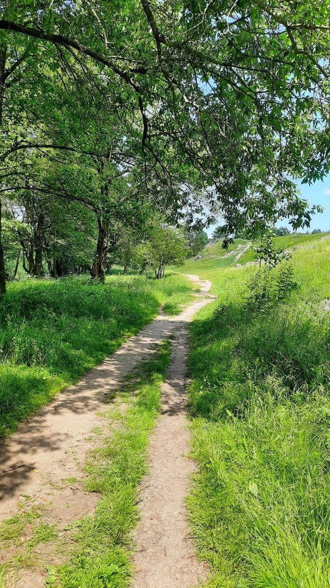 earthserenityy's tweet photo. Let's go on a walk https://t.co/KYdycBieG4