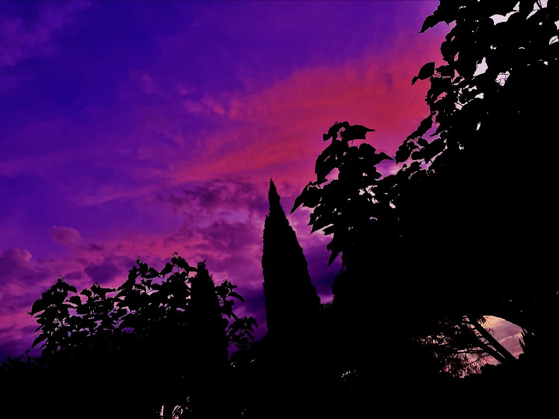 Legacy MS4 John Doe tweet media