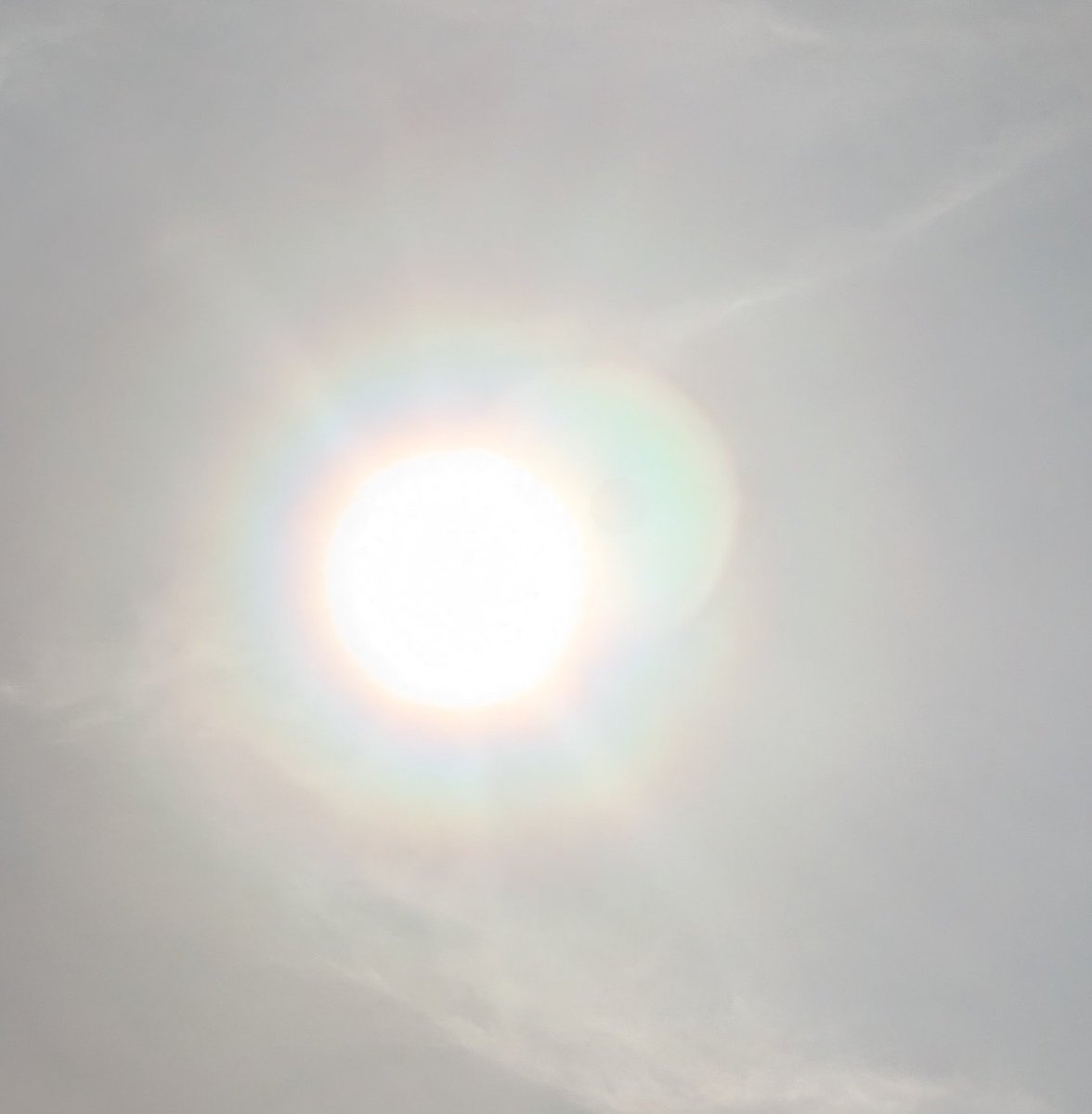 MushrooM_halos's tweet photo. 本日の光環は大きかったです☀
雲由来なのか黄砂由来なのか…
#光環 https://t.co/7F0g6WPraV