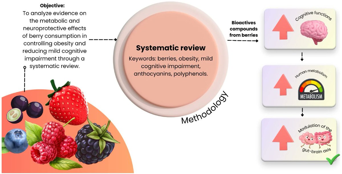 Nutrients_MDPI's tweet image. 🍓 New in #Nutrients

Can #berries boost #brain health? Evidence points to modest #memory benefits and #metabolic effects, but human data remain limited.

by Gustavo Alves Andrade dos Santos et al.

🔗 brnw.ch/21x1OXi

#Nutrients #CognitiveHealth #Obesity #Polyphenols