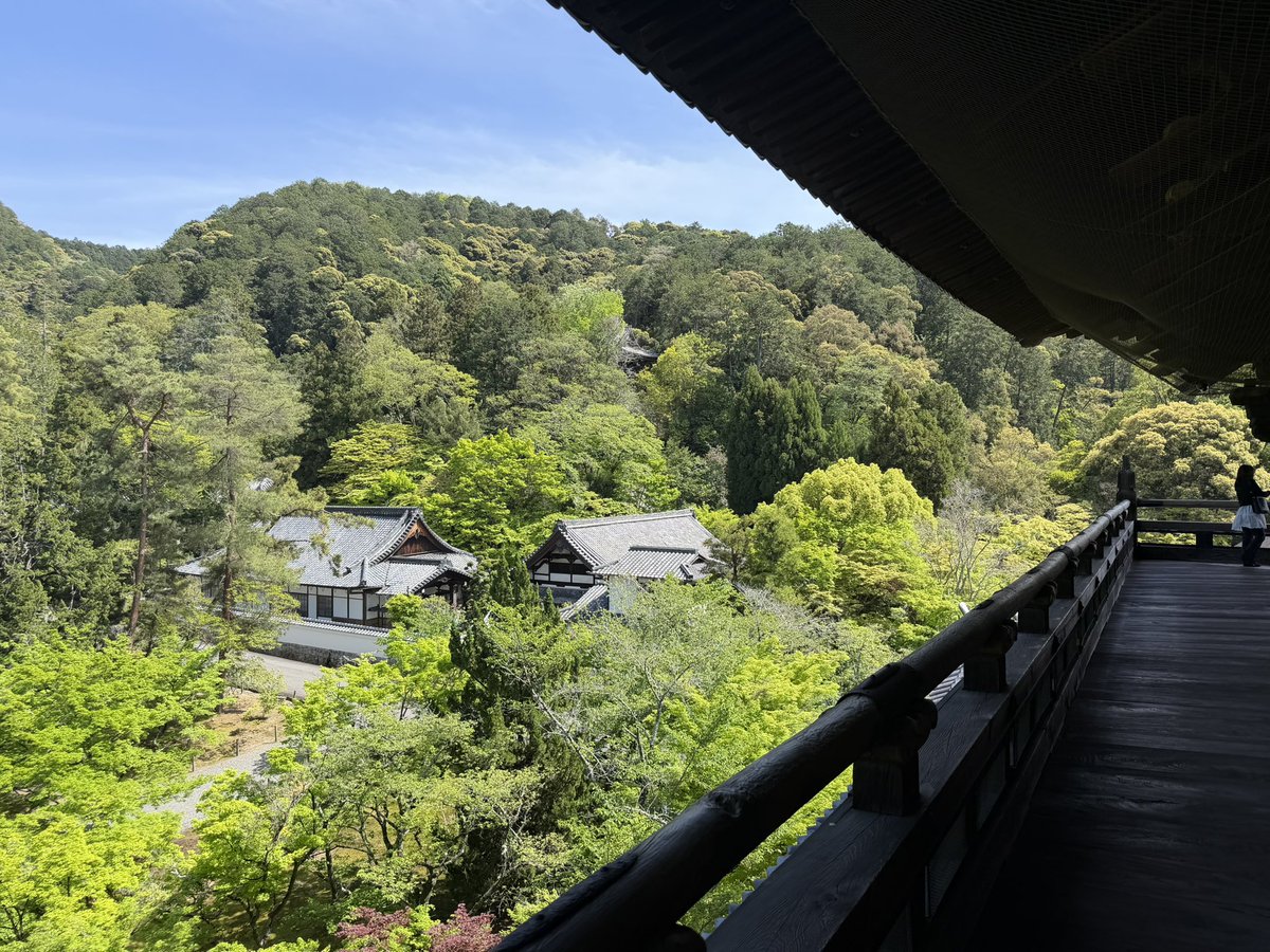 言言言 tweet media