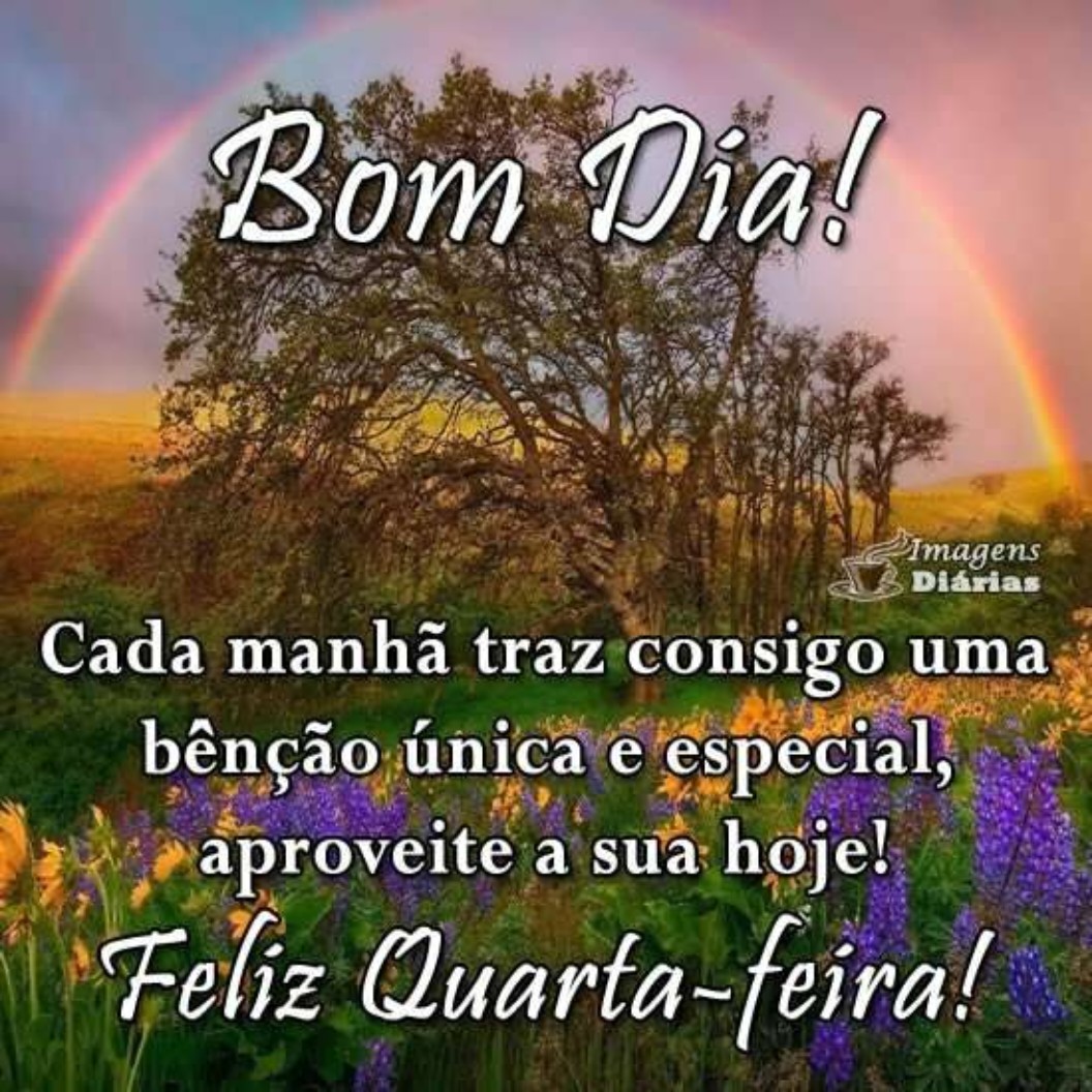 Dimas Gonçalves tweet media