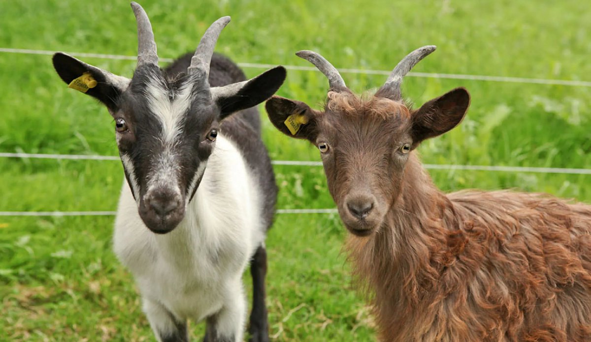 Novia News tweet media