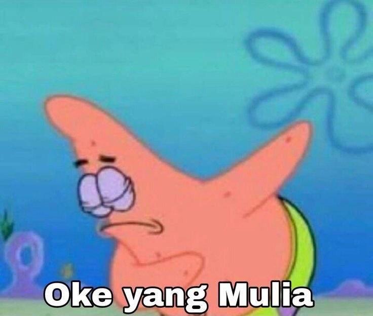 thita febria tweet media
