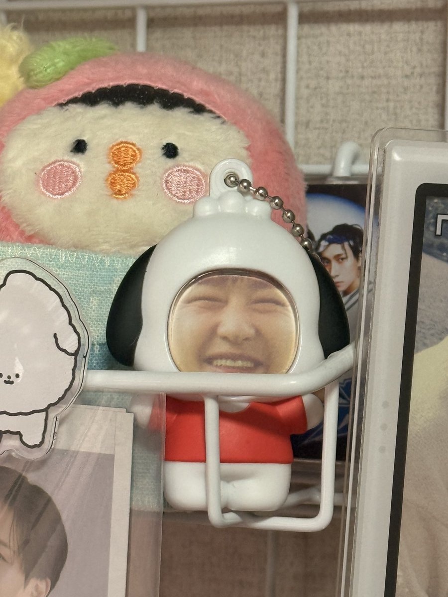 섭찌코찌 tweet media
