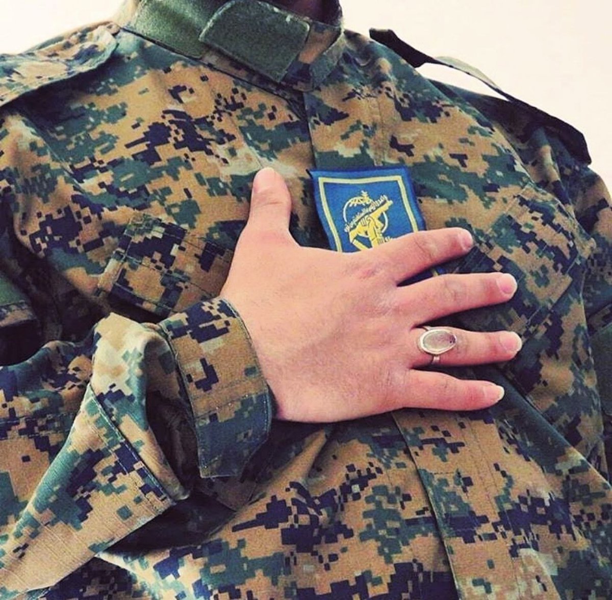 امام خمینی (ره)
این روزها را می دید
که گفت :
« ای کاش من هم
یک پاسدار بودم.. »
#پاسدار_ایران