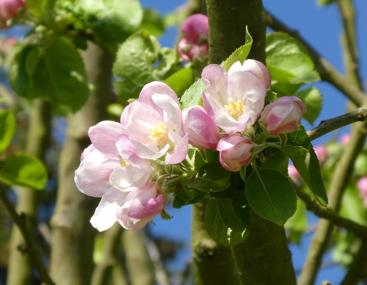 James Dixon tweet media