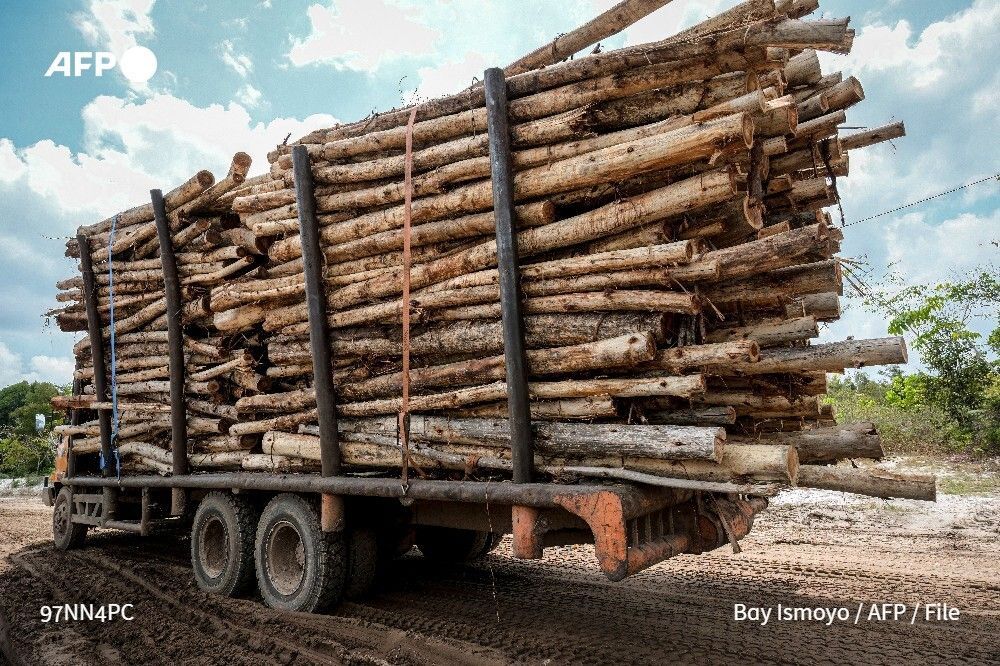 🦧 Vast tracts of Indonesian rainforest home to endangered orangutans have been cleared for plantations supplying a maker of "carbon-neutral" packaging, an investigation by AFP and The Gecko Project has found. 
➡️ u.afp.com/SEy2