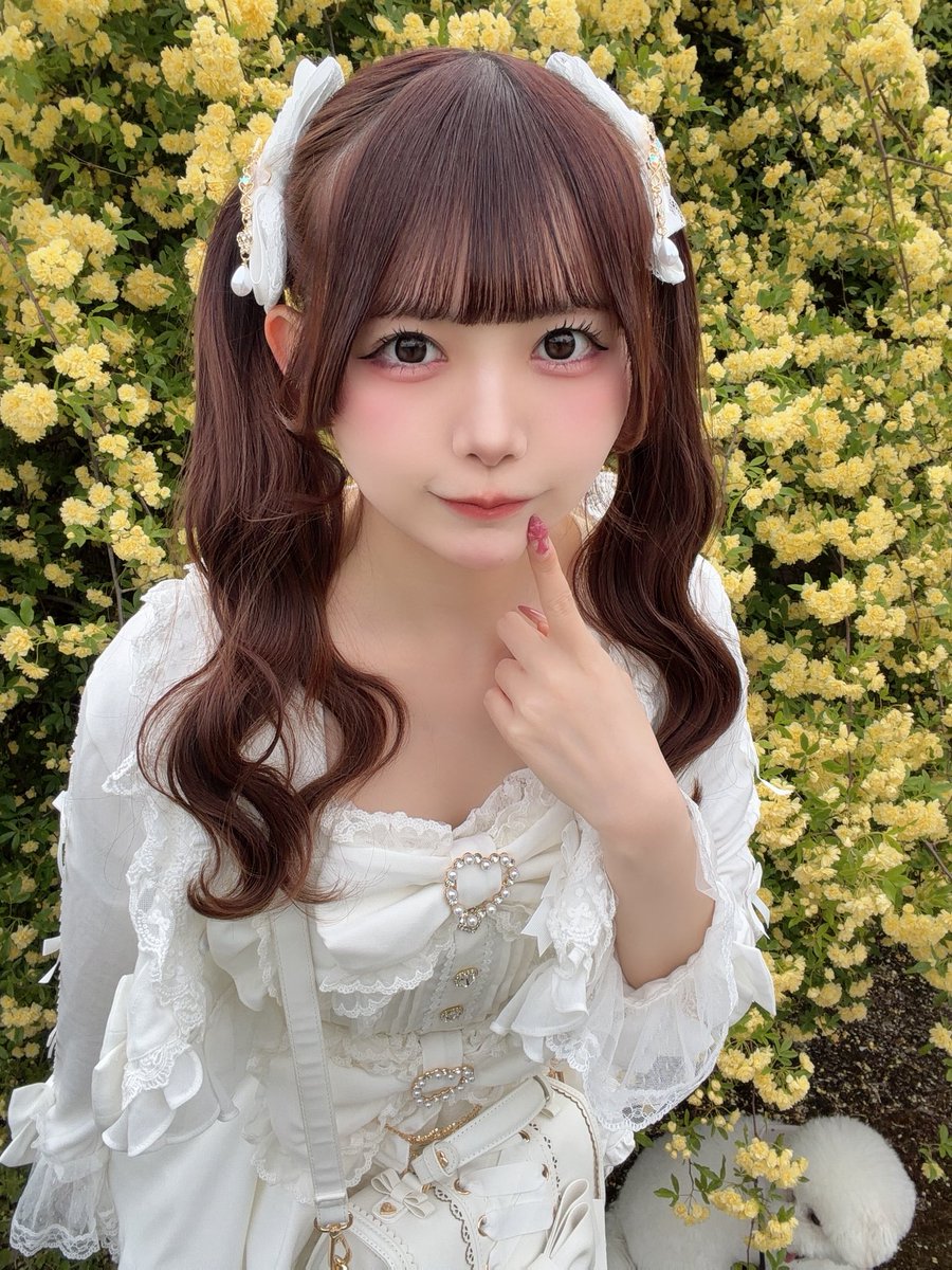 ( ᴗ ̫ ᴗ ) tweet media