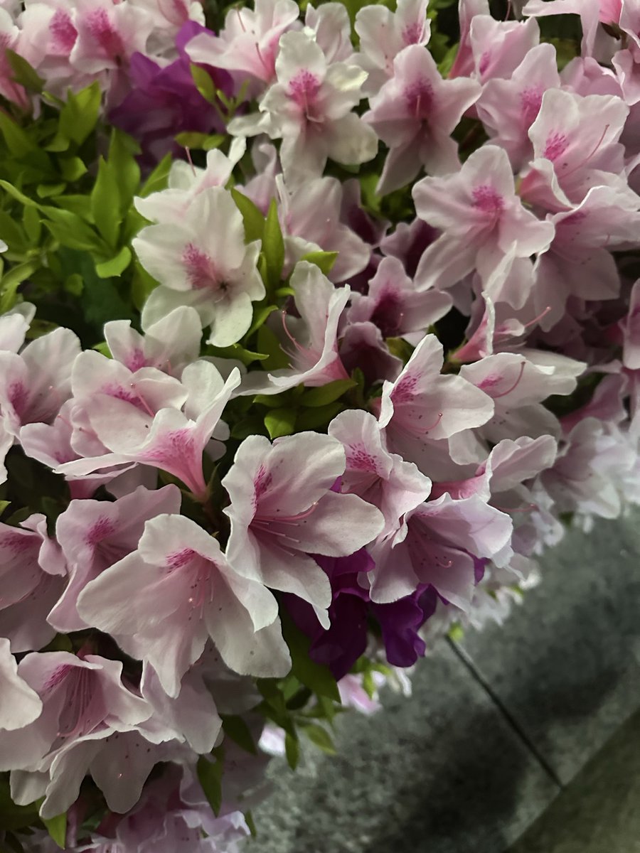 写真撮り忘れた。。。。。

まあええか🧐

友達増えた！ご馳走様でした！！！！
母がんばる💪😤🤱←草

何の変哲もない日常に突然現れる変化
出会いというのは本当に
有難いことです😌😌😌😌😌