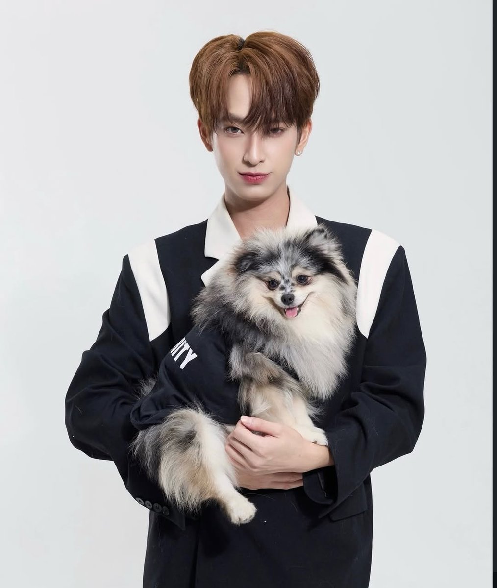 SingChimon PH tweet media