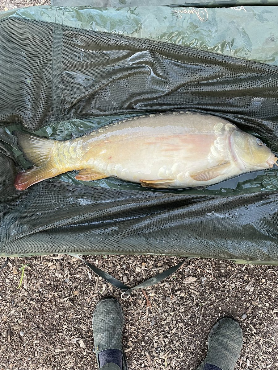 paul carpman stote ⚒🎣✌️ tweet media