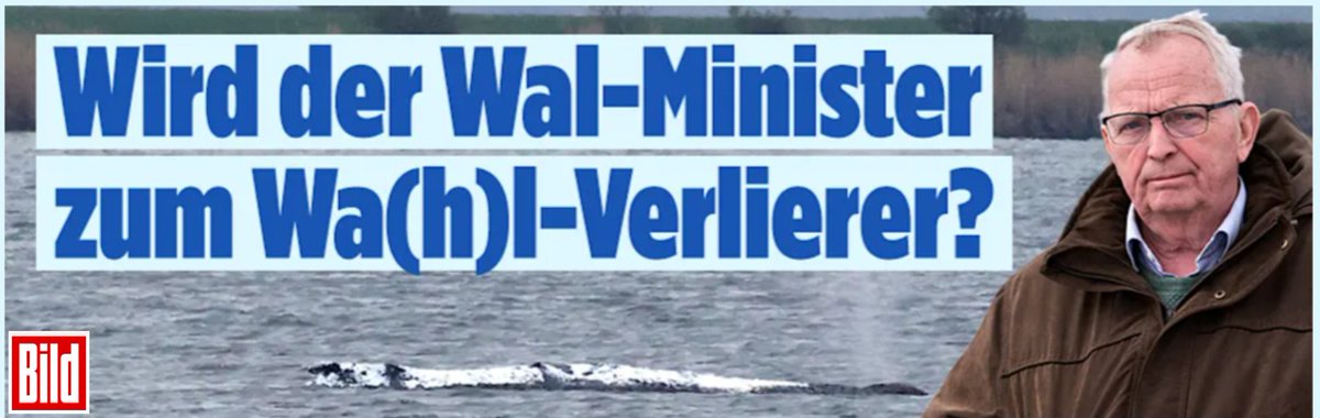 Lena Agemro tweet media