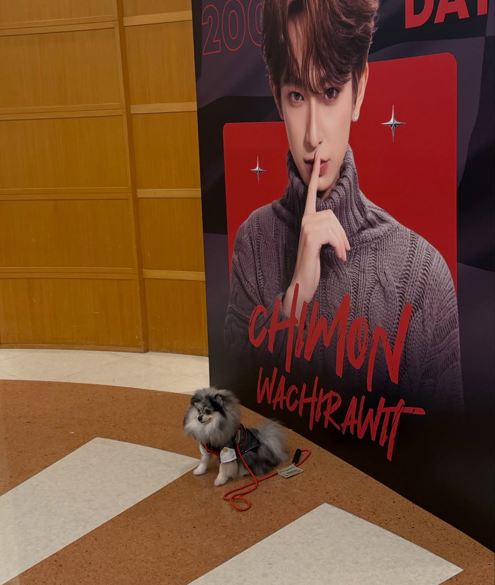 SingChimon PH tweet media