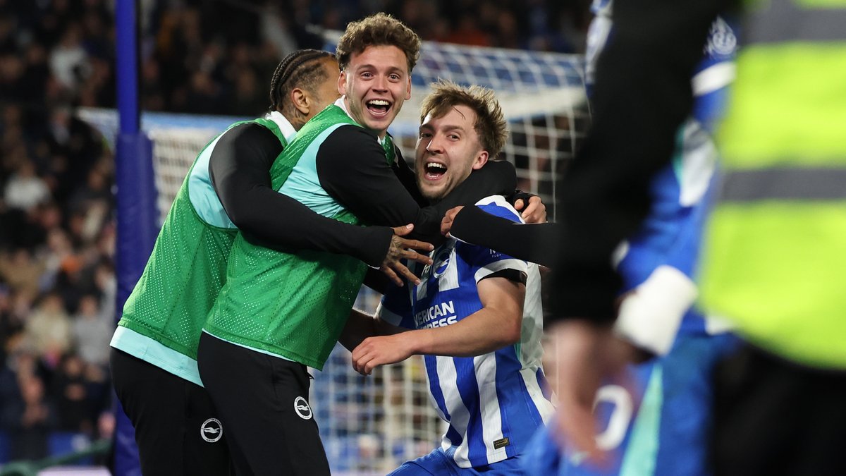 OfficialBHAFC's tweet photo. Made in Brighton. 💙🤍 https://t.co/ODOPHUOwEX