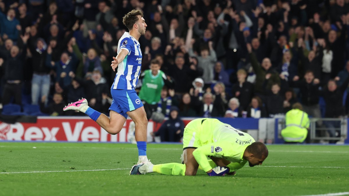 OfficialBHAFC's tweet photo. Made in Brighton. 💙🤍 https://t.co/ODOPHUOwEX