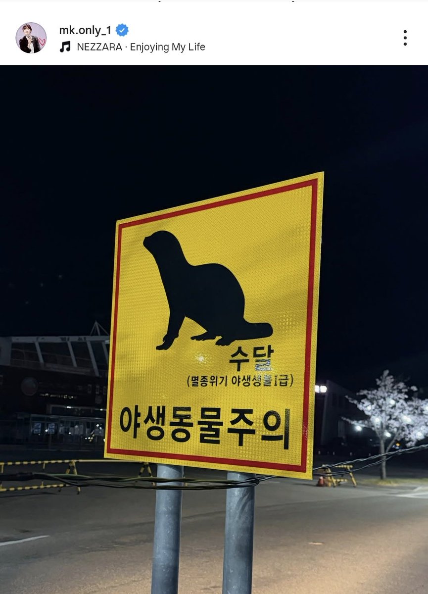 피프틴 tweet media