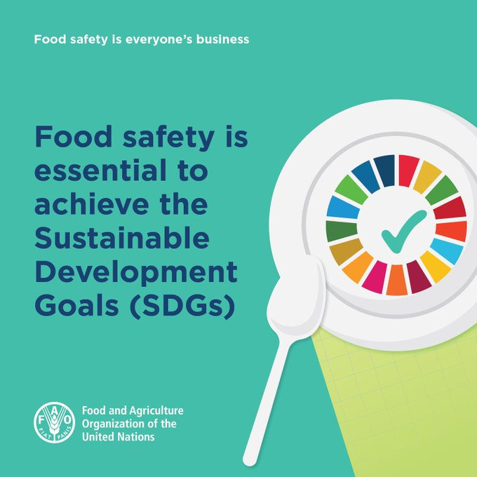 FAOWHOCodex's tweet image. 📝 | Unsafe food and inefficient practices would only drive us further off course in the race to fulfil the #GlobalGoals.

👉 By contrast, ensuring safe food for all will bring us that much closer to achieving SDG 2, Zero Hunger, and other related goals and targets.

#FoodSafety