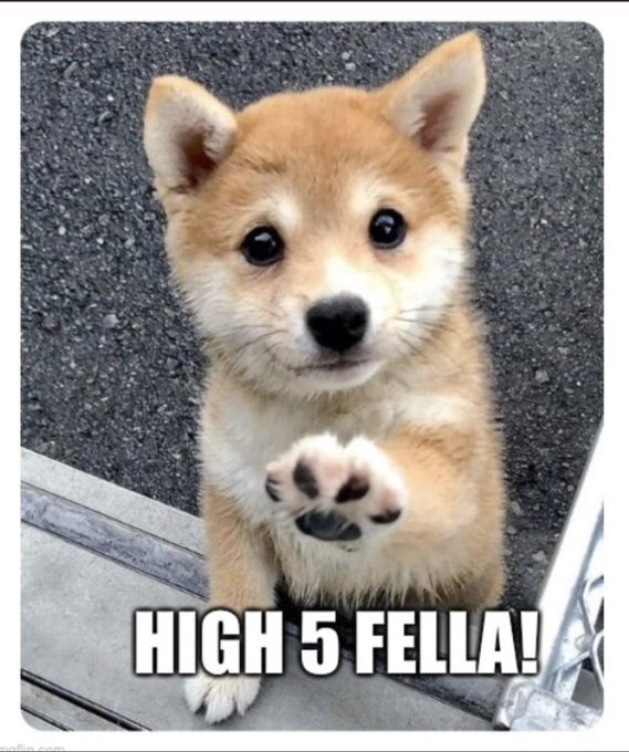 J 🇬🇧 🇬🇪 🇺🇦 🎗️ Cyber Partisan △🦩🦩🦩 tweet media