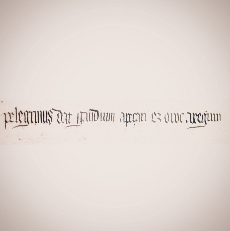 Ekaitz Santazilia tweet media