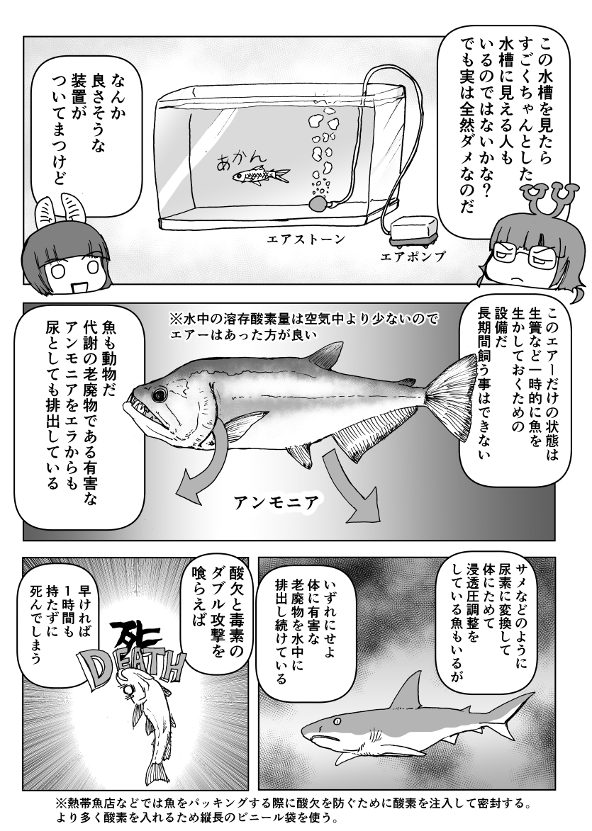 「クック先生の動物講座」4p新作は現在ネーム中。なので再掲シリーズ「魚の飼い方」2/2
#クック先生の動物講座 #漫画読めるハッシュタグ #マンガ 