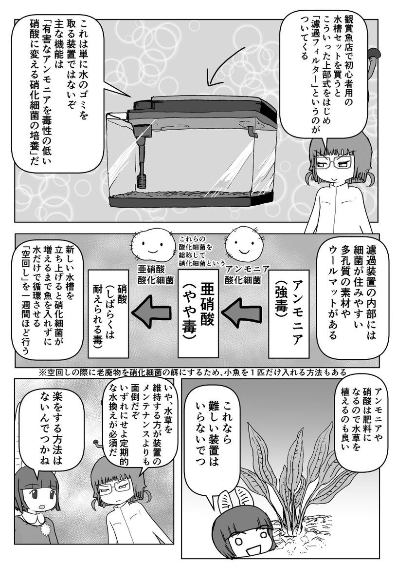 「クック先生の動物講座」4p新作は現在ネーム中。なので再掲シリーズ「魚の飼い方」2/2
#クック先生の動物講座 #漫画読めるハッシュタグ #マンガ 