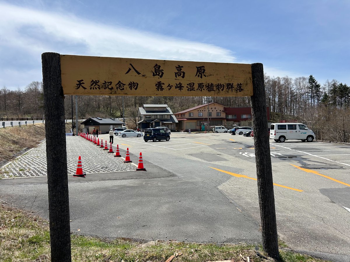 霧ヶ峰ビーナス tweet media