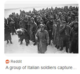 Paul Malley tweet media