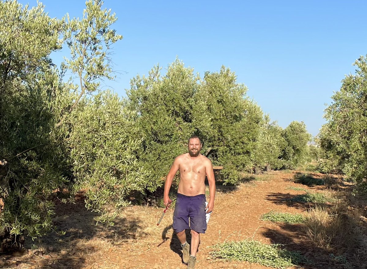 Pues aquí, no andando; trabajando desvaretando olivos en agosto en la campiña andaluza

Donde se llegan a >40 grados, el mundo no es yankilandia.