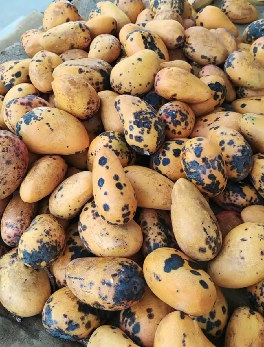 蒹葭（互fo🇨🇳必回💞） tweet media