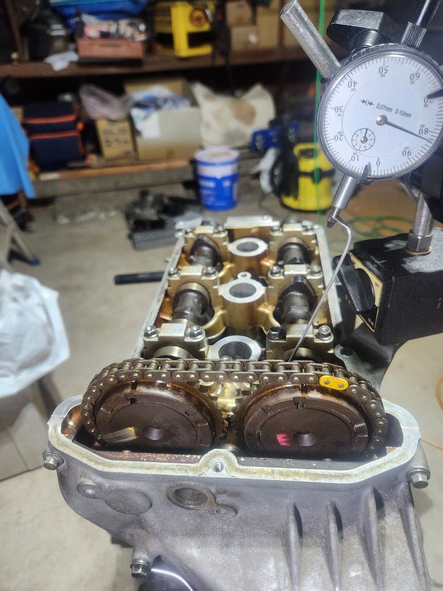 ぴんきゃろ tweet media