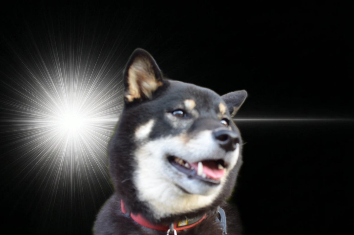 ゆう＠適合者 tweet media