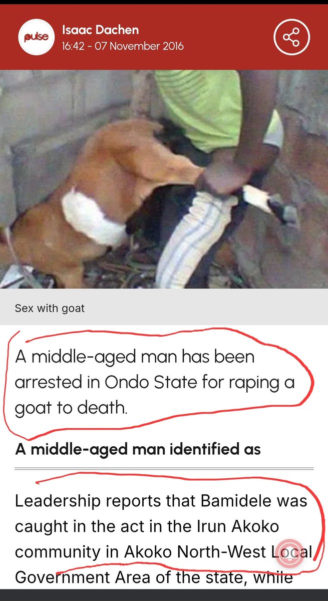 Izu Chu 🐊 tweet media