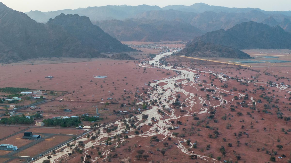 أمانة منطقة حائل tweet media