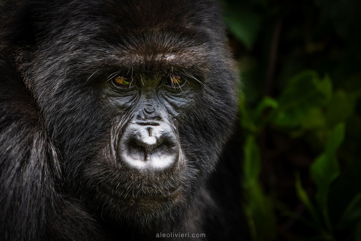 WanderingThru tweet media