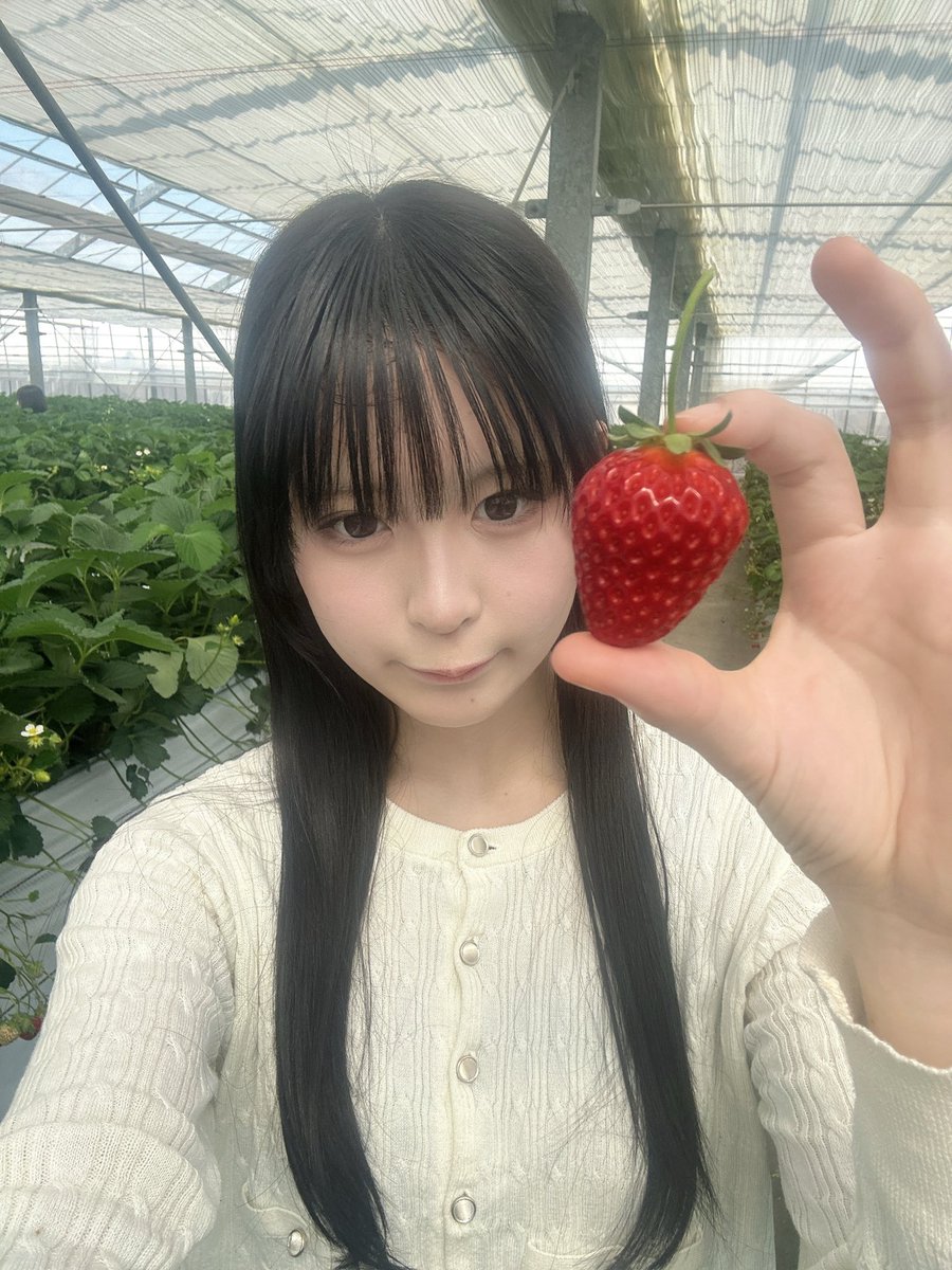 谷崎 れよよ tweet media