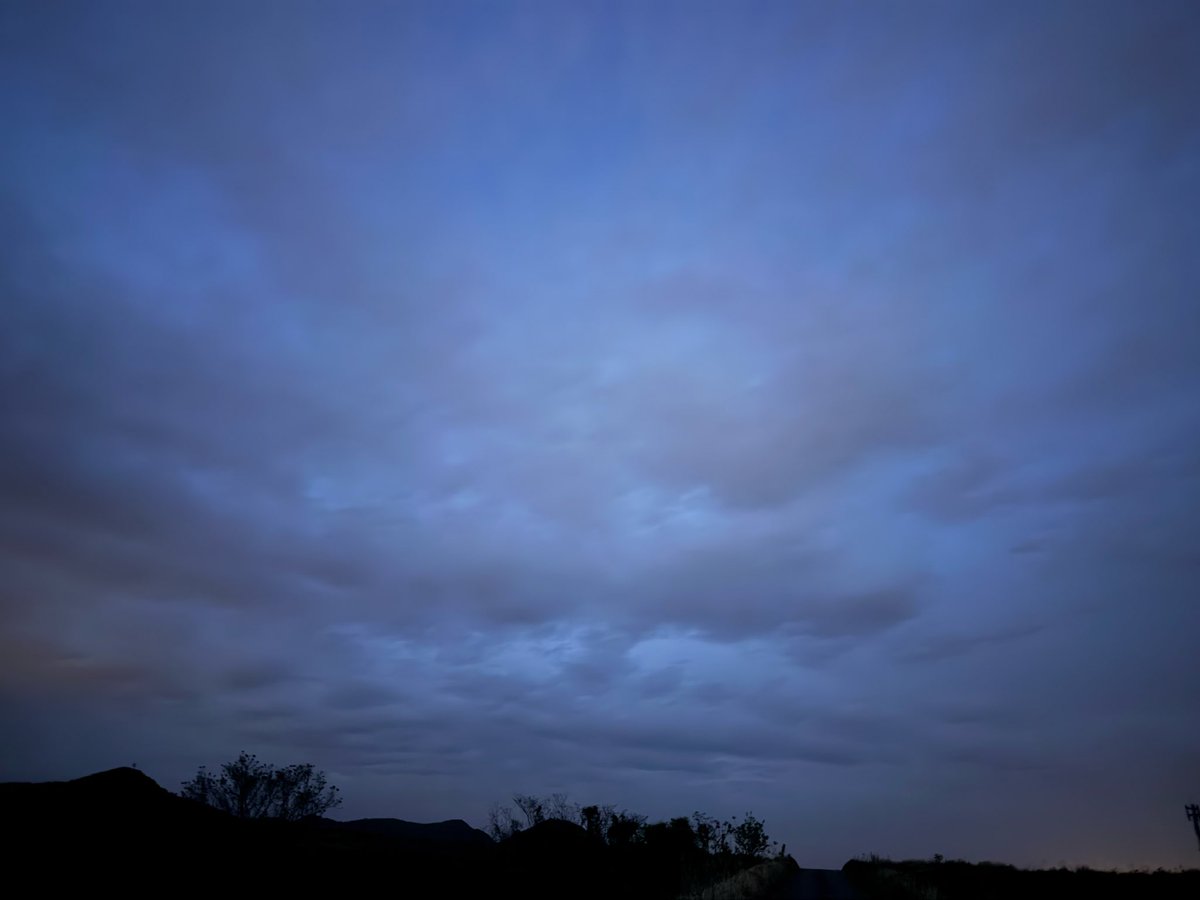 ぜろーん tweet media