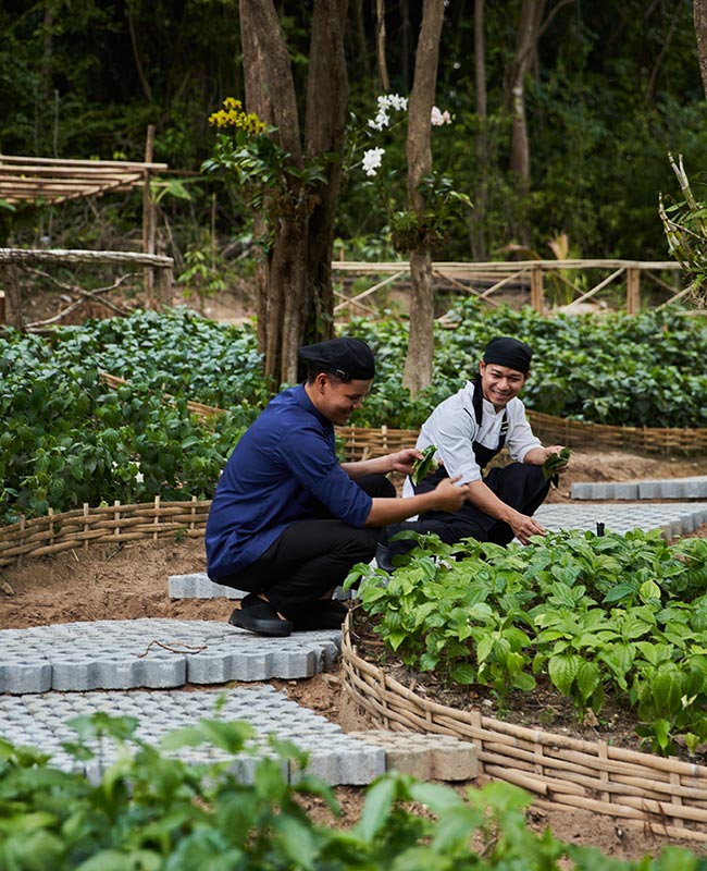 thedine_wine's tweet image. Experience the essence of artisanal dining at Dara Cuisine Phuket, where farm-fresh ingredients and masterful artistry come together for a truly divine dining experience. 

#DaraCuisinePhuket 
#CelestialHarvest
#FarmToTable
#ArtisanalFlavors
#PhuketDining