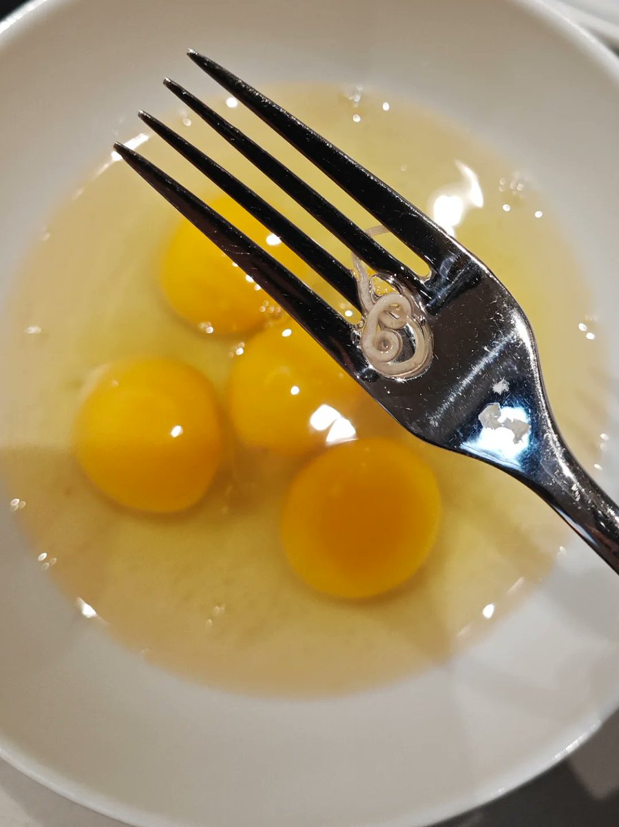 cmk2wl's tweet photo. 鶏の卵にまで入り込みはじめた。

寄生虫を取り除けばいいというものじゃない。
卵に、鶏に、問題が発生している。

蠕虫（線虫、吸虫、条虫など総じて細長いやつ）には放射線耐性を持つのがいる。

宿主が弱るから相対的に勢いを増す。 https://t.co/G7OwhHXktW