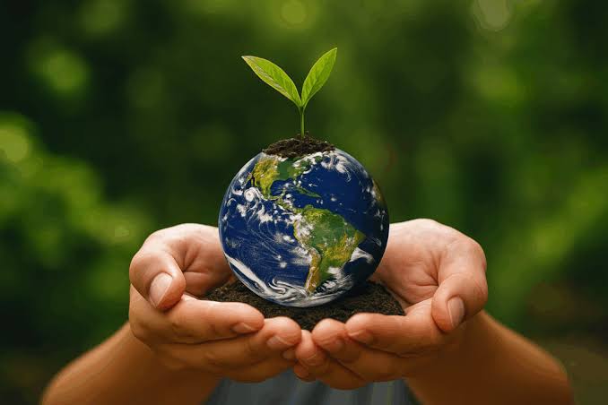 Selim Axem Beluch tweet media