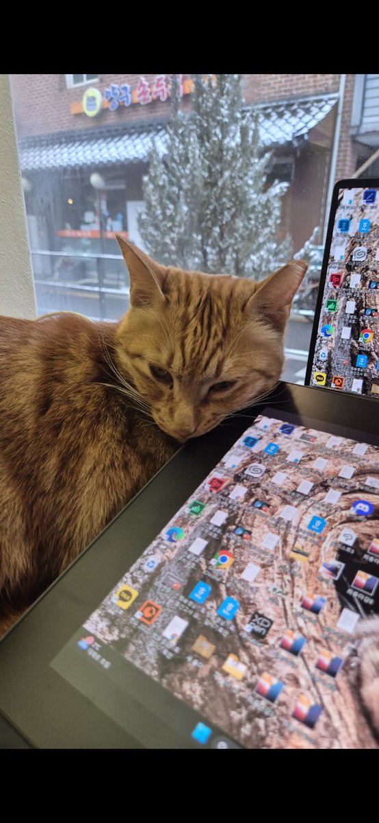 헤즈 후원 마감했습니다 tweet media