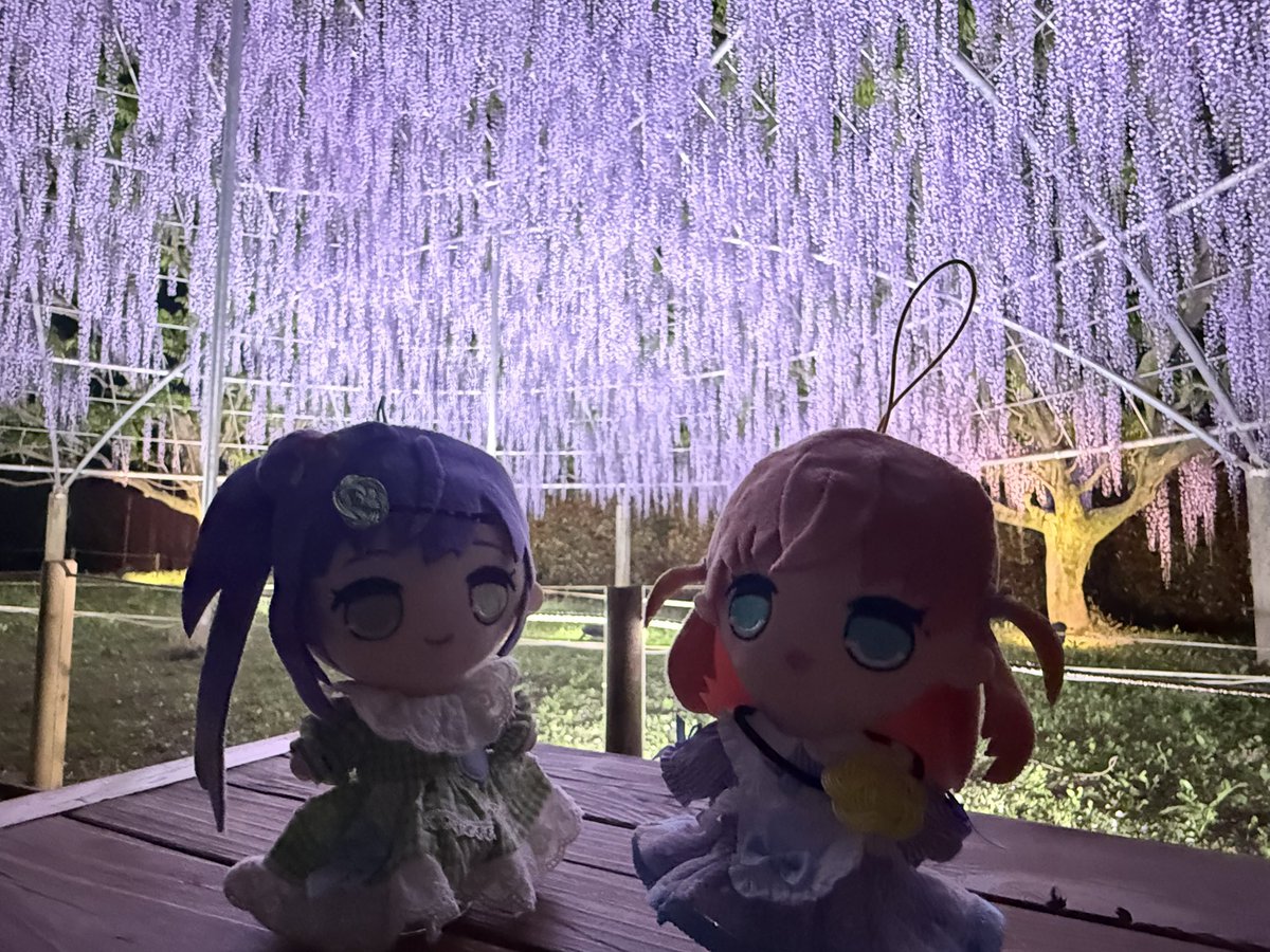 カプ・デカホ tweet media