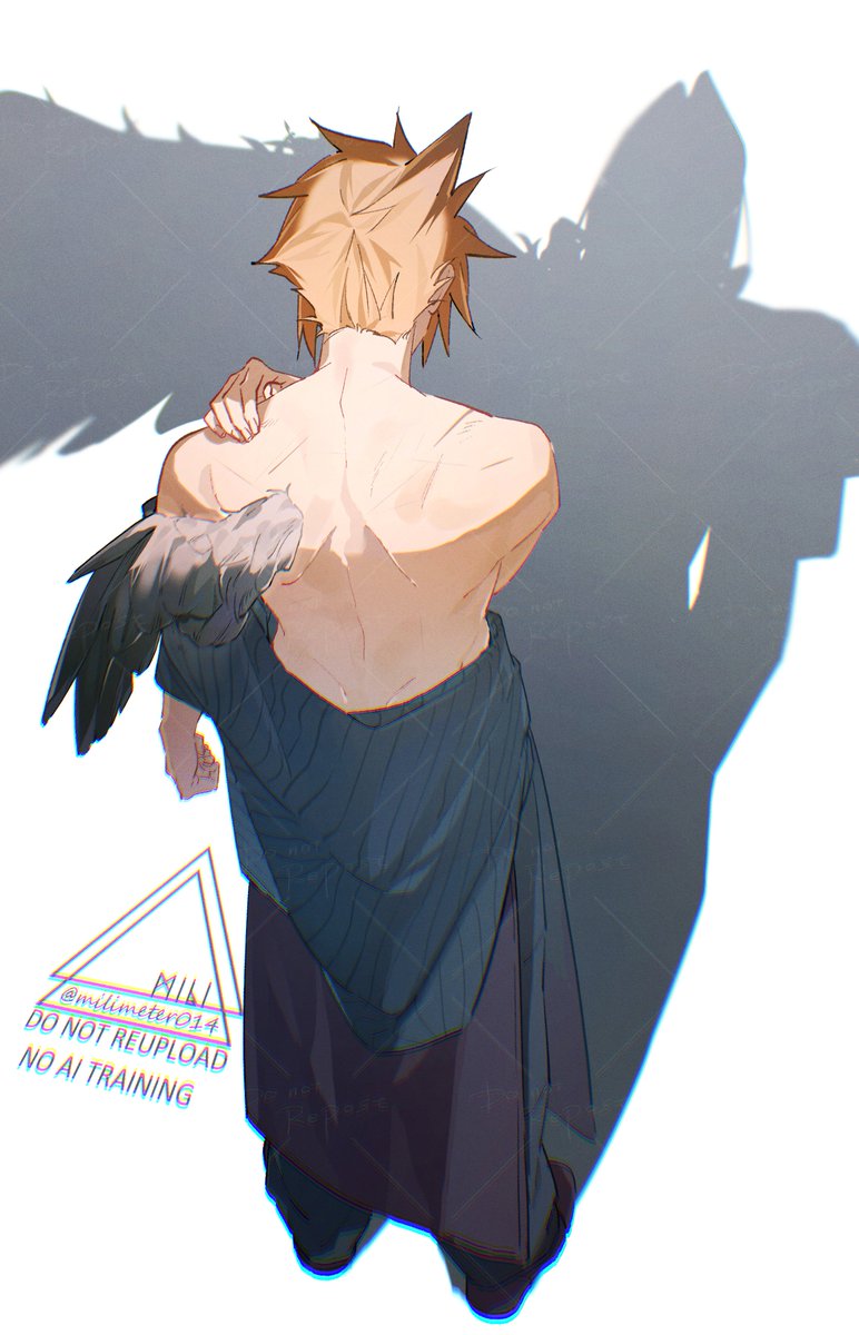 羽🪽