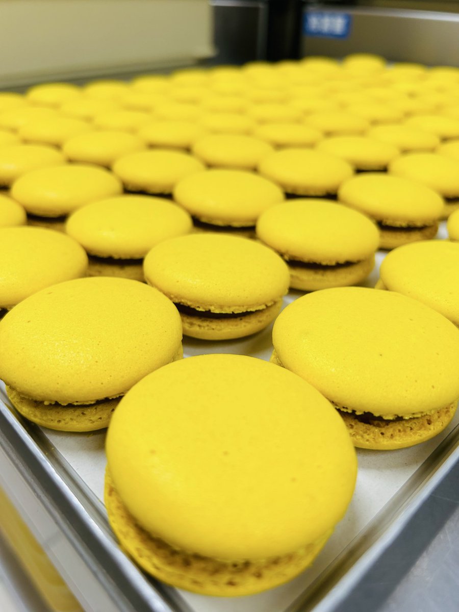 アル🍰 tweet media