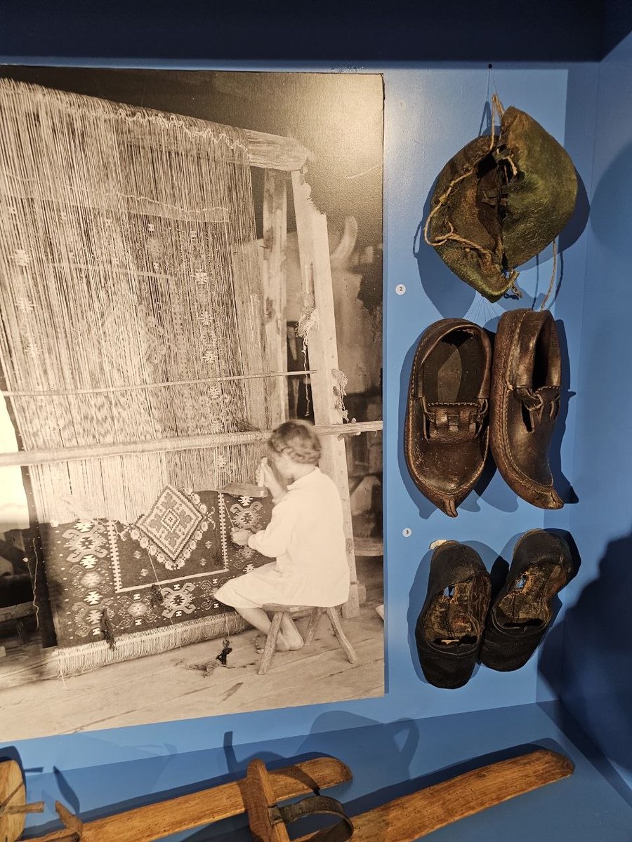 Білий лев tweet media