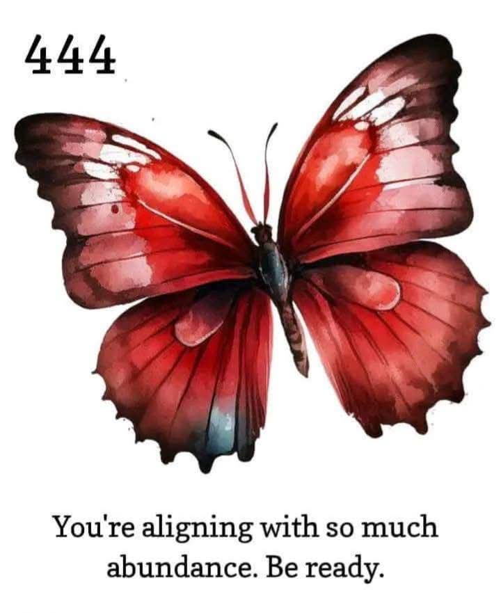 Starseed tweet media