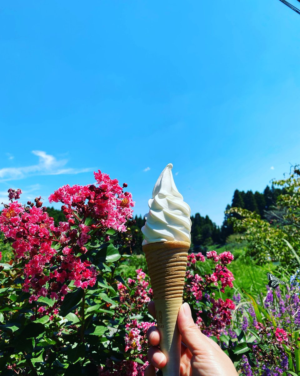 ニョッキ tweet media