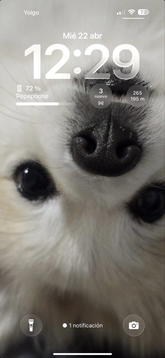 pepe sans tweet media